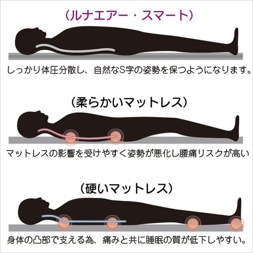 ルナエアースマート