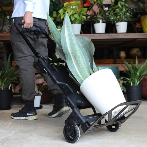 フラットカート2x4