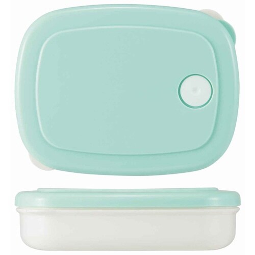 保存容器 ご飯冷凍作りおき容器 グリーン