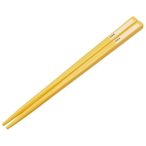 箸箱セット 抗菌 箸 16.5cm D100