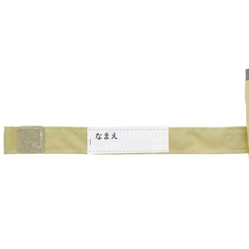 折りたたみ傘 子ども用 ディノサウルス