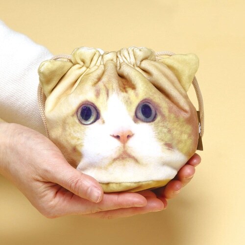 巾着 ポーチ フェイス 茶太郎ときなこ 猫 きなこ