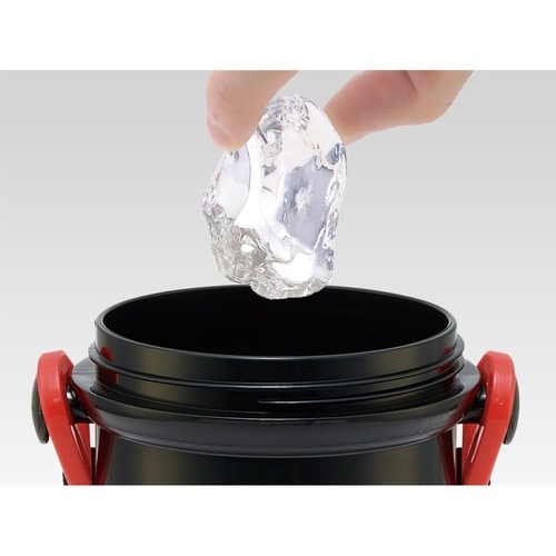 水筒 480ml 抗菌直飲プラボトル カーズ25