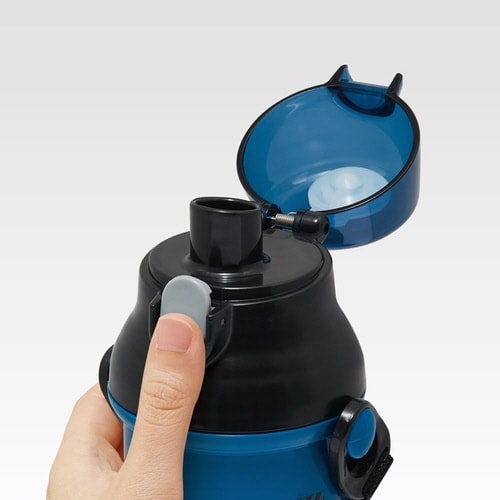 水筒 480ml 抗菌直飲プラボトル ポケモン25