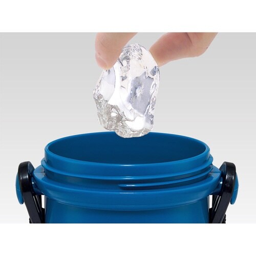 水筒 480ml 抗菌直飲プラボトル ポケモン25