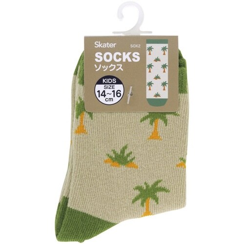 靴下 キッズ 男の子 女の子 ディノサウルス