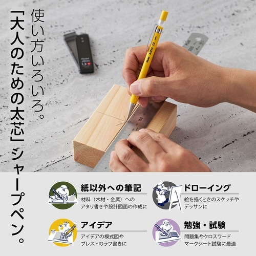 アメインシャープペン AM13−G×10