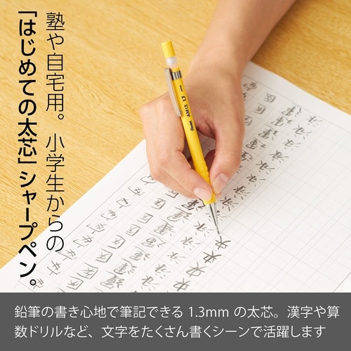 アメインシャープペン AM13−G×10