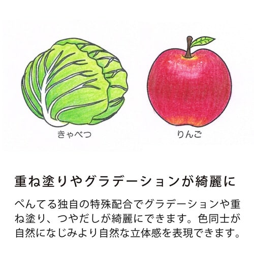 パスティック小学校色えんぴつ単色T16R×40