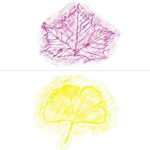 パッセルクリアラベルまきパス単色26R×30