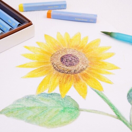 ヴィスタージュ大人の水彩パステル単色T53×30