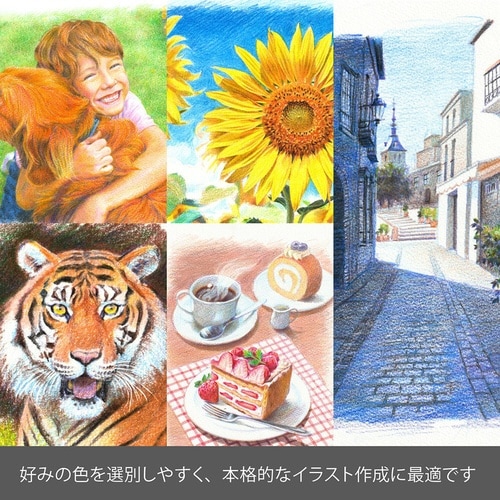 アート マルチ8 XPH804×10