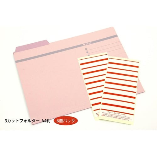 カットフォルダー(3カット) No.43−6P P