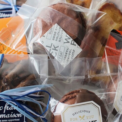 ウェルパックB−10S×100