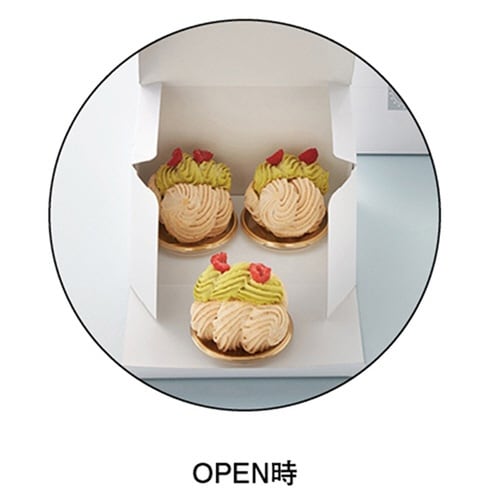 TOBOX WH105 15×21×8