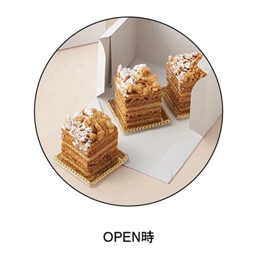 SOボックス105WH 15×21×8