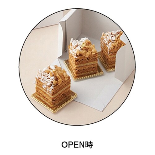 SOボックス105WH 21×27×4