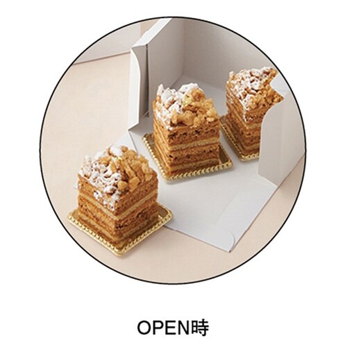 SOボックス105WH 24×30×4