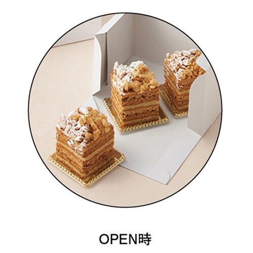 SOボックス125WH 18×24×4