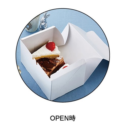 ノエルカートン105 10×15×16