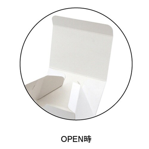 ノエルカートン G×4