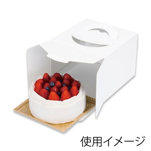 キャリーデコ ホゾンWH150 4.5