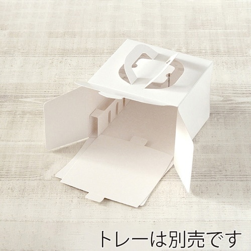 nwデコ マットホワイト5G100×2