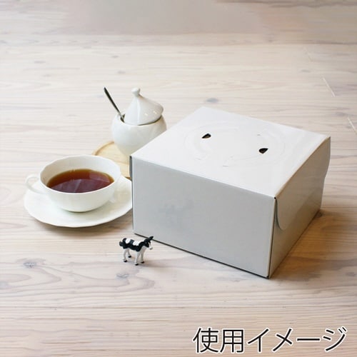 wデコ5G H113 100×4