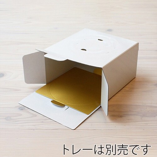 wデコ5G H113 100×4