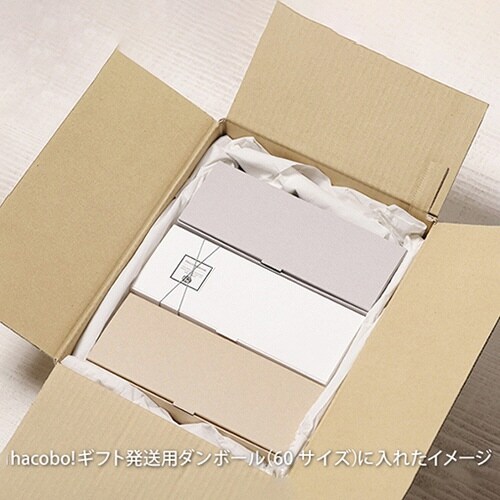 nwパウンドG Sw300×6