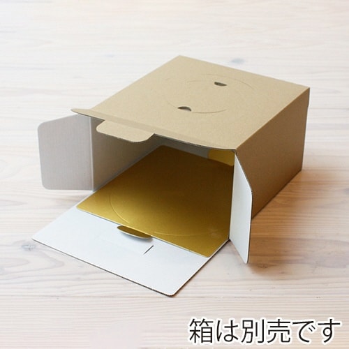 カミトレー5G GD×2