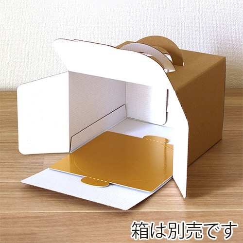 カミトレー4.5G GD×2