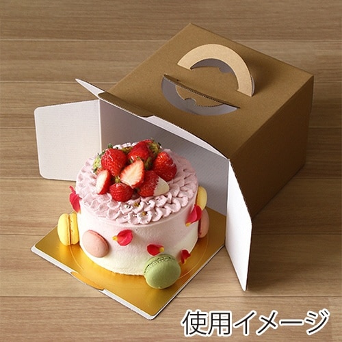 カミトレー4.5G GD×2