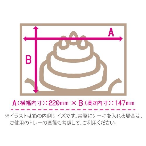 CBデコ6G H150 100×4