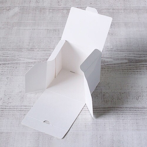 nwカットケーキ0.5SSS×3