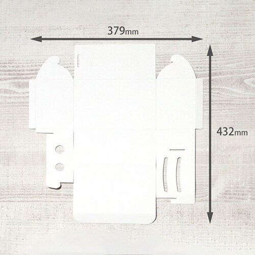 nwカットケーキ2S H85300×3