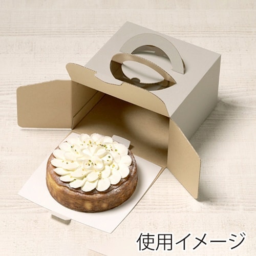 ケーキNG デコ5G H113 100×4