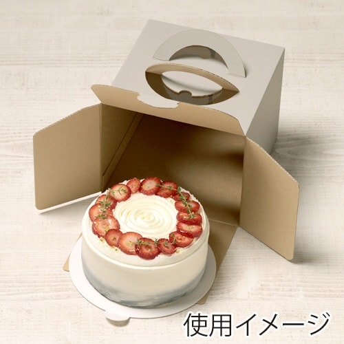 ケーキNG デコ5G H150×2