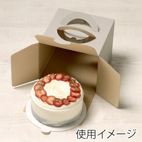 ケーキNG デコ5G H150 100×4