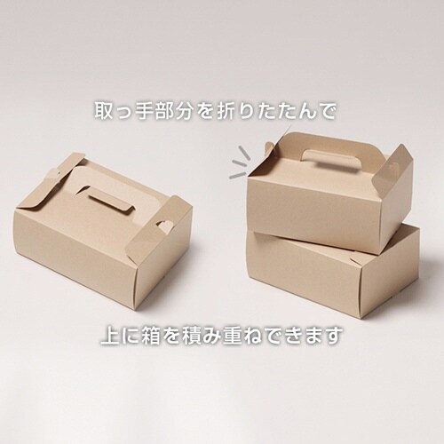 Tカットケーキ C3G M