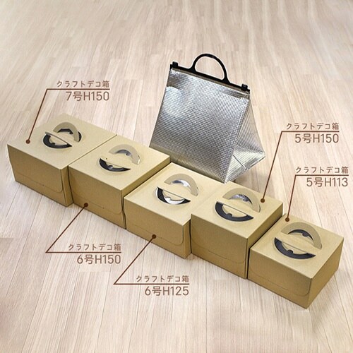 ホレイバッグ テBL100