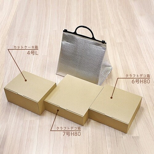 ホレイバッグ テBL100