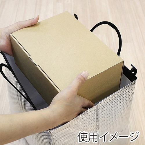 ホレイバッグ テBL100