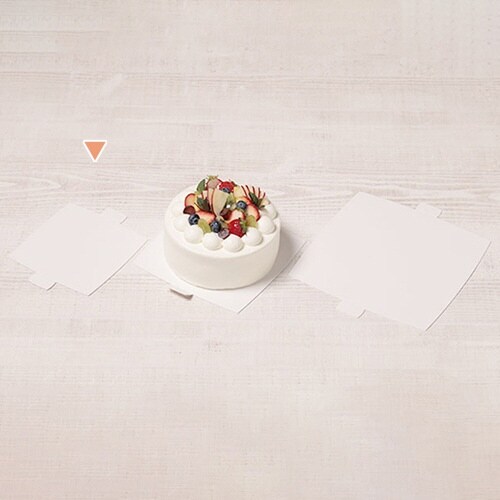 nwカミトレー カク W4G