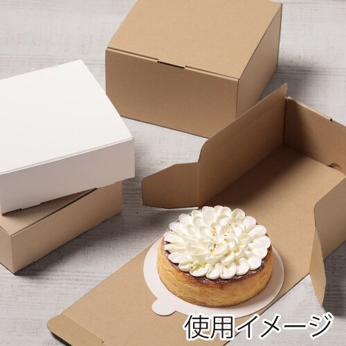 nwカミトレー マル W4G