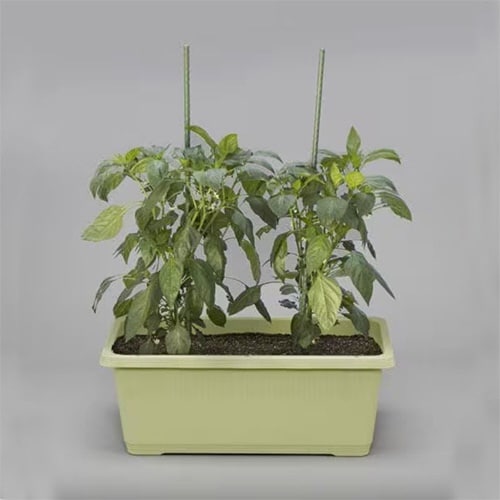 ベジタブルプランター 680 ベジタブルグリーン