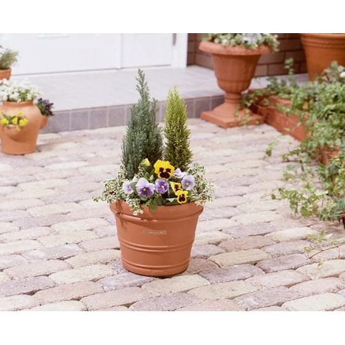 バレンシアポット 15号 ブラウン