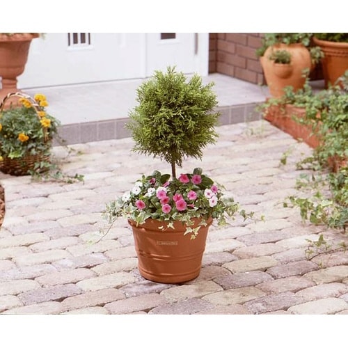 バレンシアポット 15号 ブラウン