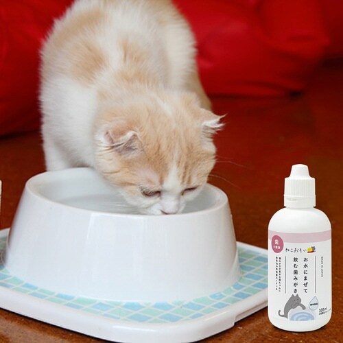 ねこおもい お水に混ぜて飲む歯みがき