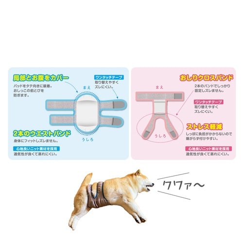 女の子用マナーホルダーActive LL